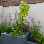 The Old Post Office *